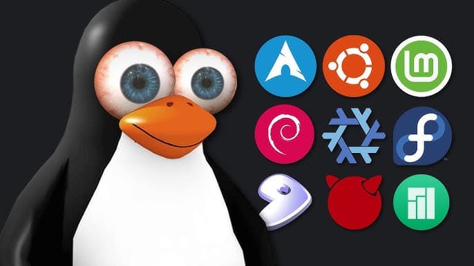 The Life Cycle of a Linux User: From Awareness to Enlightenment (and Everything in Between)